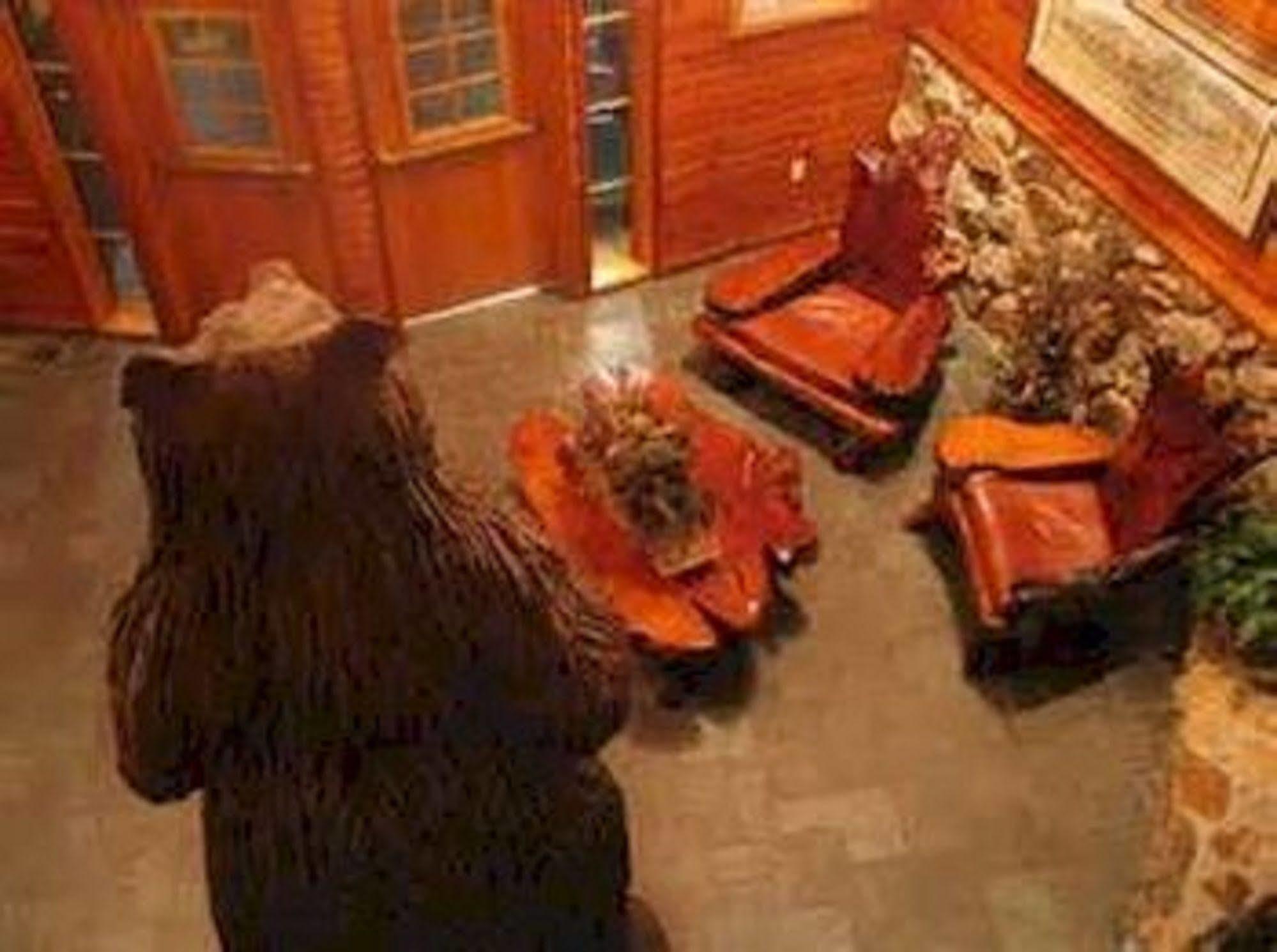 Lodge At Palmer Gulch هيل سيتي المظهر الخارجي الصورة